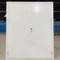 厂家供应钢制防火门 逃生通道门管井门配电室工程双开消防门通道